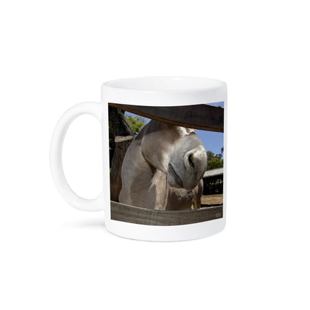 Horse in Farm Mug 11oz
