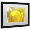 thumbnail image 4 of Trademark Fine Art "Yellow Tulip" Canvas Art by Kurt Shaffer White Matte, Black Frame, 4 of 4
