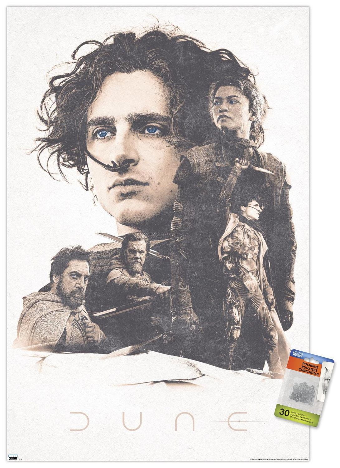 Dune: Part 2 - Group Wall Poster, 22.375" x 34"