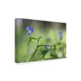 thumbnail image 2 of Trademark Fine Art 'Blue Prince' Canvas Art by Incredi, 2 of 2