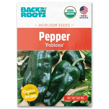 Back to the Roots Organic Pepper Hot 'Poblano', 1 Seed packet