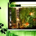 thumbnail image 3 of Calentador de acuario, calentador sumergible para pecera, varilla de calor para tortuga con pantalla de temperatura, controlador de temperatura externo, 3 of 8