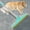 Blue, variant on Carpet Rake for Pet Hair Removal - Reusable Pet Hair Remover, 60” Adjustable Long Handle Cat Dog Carpet Rake Scraper, Dog Hair Rake Brush for Rugs, Mats, Couch, Furniture