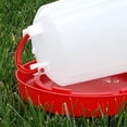 thumbnail image 4 of Chick Waterer Bowl Equipment Duck  Dinking Barrel Accessories 2.5L, 4 of 7