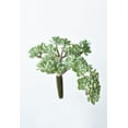 thumbnail image 2 of 5" Faux Green Sedum Succulent Pick, 2 of 3