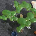 thumbnail image 4 of FENGGUIQU 1Set Simulation Floating Duckweed Plastic Aquarium Plant for Tank Decoration, 4 of 8