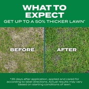 Scotts Turf Builder ThickR Lawn Sun and Shade, Thickens Thin Grass, 12 lbs.