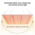 thumbnail image 3 of Plant Light LED Succulent Fill Light Full Spectrum Plant Grow Light Quantum Board IP20 Waterproof Rating Natural Convection Heat Dissipation Design Two Modes (VEG and BLOOM), 3 of 7
