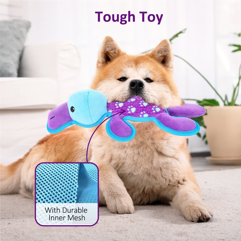Kitsin Squeaky Dog Toys, Plush Dog Toy, Dinosaurs Shape Dog Chew Toy with  Rope Loop, Stuffed Interactive Dog Toys for Medium Large Dogs 