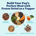 thumbnail image 5 of Solid Gold Real Beef & Pumpkin Freeze-Dried Raw Meal Dog Food Topper, 12.5-oz bag, 5 of 12