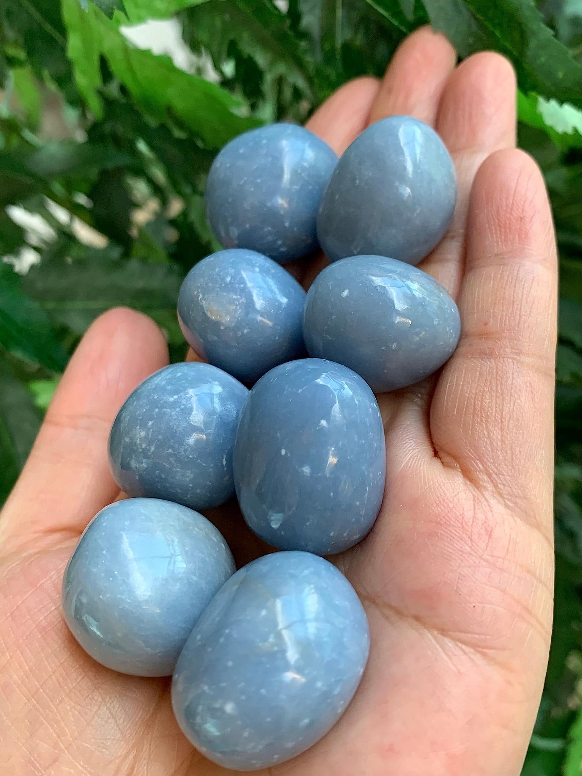 Angelite Tumbled Stones, Polished Angelite Gemstone, Angelite Healing Crystals (Angelite, 0.5 Pound)