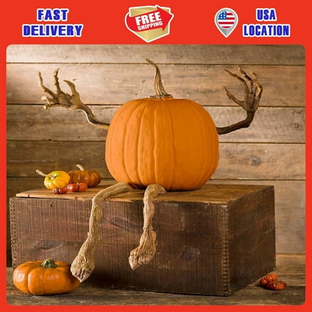 Plow & Hearth Set of 4 Bendable Pumpkin Arms and Legs | Create Whimsical | Spooky Vine Design