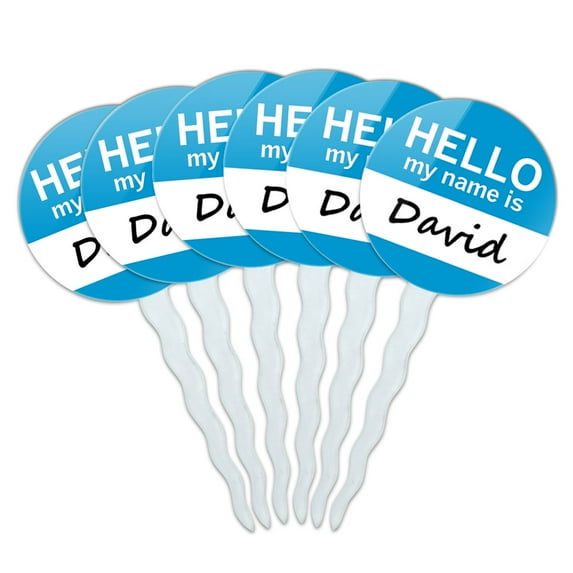 David Hello My Name Is Cupcake Picks Toppers - Set of 6