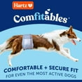 thumbnail image 2 of Dog Incontinence Male Wraps Hartz Comfitables Medium 12 Ct, 2 of 9