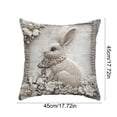thumbnail image 3 of Tuvgenk Throw Pillow Covers Indoors 18x18 In Polyester Pillowcases Furry Rabbit Multicolor for Couch, 3 of 6
