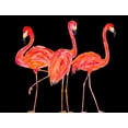 thumbnail image 2 of DeRice, Julie 18x15 Gold Ornate Wood Framed with Double Matting Museum Art Print Titled - Trio of Flamingos on Black, 2 of 4