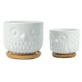 thumbnail image 4 of K-Cliffs Owl Succulent Planter, White  Planter Pots with Drainage Hole and Bamboo Saucer, Set of 2, 4 of 5