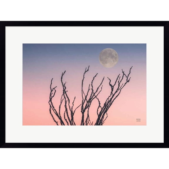 Great Art Now Reaching Up Moon by Nathan Larson, Framed Wall Art, 24W x 18H