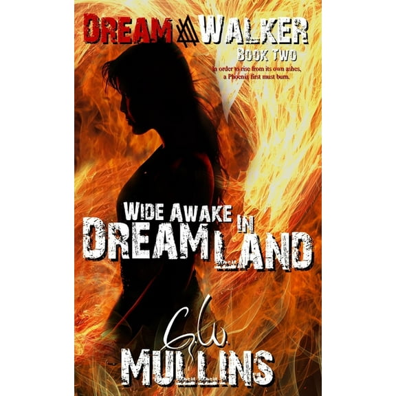 Dream Walker Wide Awake In Dream Land, Book 2, (Paperback)