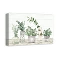 thumbnail image 2 of Creative Products Glass Pots With Plants 18 x 12 Canvas Wall Art, 2 of 5