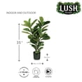thumbnail image 2 of Lush Estate Artificial Fiddle Leaf Tree, 35", Lifelike UV Resistant Indoor/Outdoor, 2 of 7