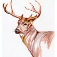 thumbnail image 2 of Seay, Anne 12x13 Gold Ornate Wood Framed with Double Matting Museum Art Print Titled - Deer in Pencil, 2 of 4