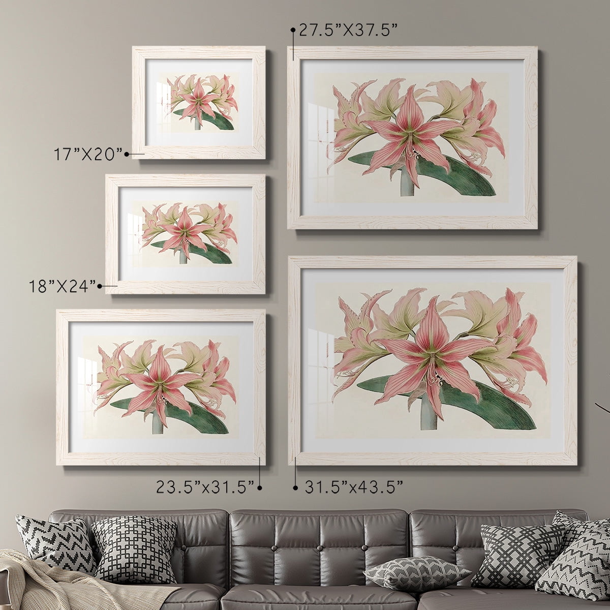 Amaryllis Varietals I-Premium Framed Print - Ready to Hang