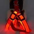 thumbnail image 2 of Goowood LED Dog Harness Rechargeable Light Up Soft Padded Adjustable Reflective Glowing Harness for Night Walking Small Dogs and Outdoor Camping, 2 of 9