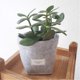 thumbnail image 3 of Naiovety Cesta para plantas de escritorio, maceta de jardín de fieltro, suculentas, maceta gruesa, contenedor de decoración para el hogar y la Oficina, Jardín y Patio gris claro Naiovety HA0875-01, 3 of 6