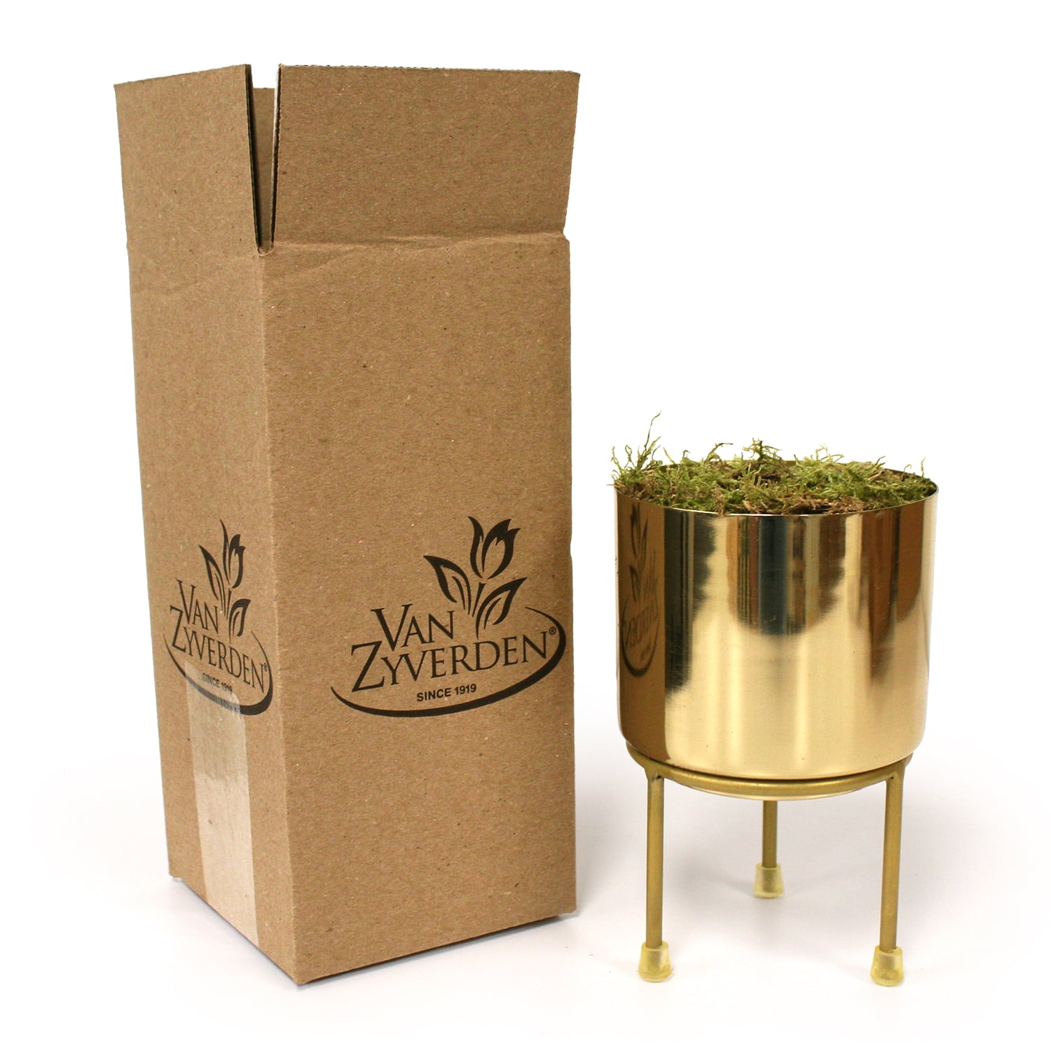 Van Zyverden Pre-Chilled Planted Hyacinth Carnegie with Iron Faux Brass Finish Planter Stand and 1 Bulb White Partial Sun Perennial Fragrant 2 lbs