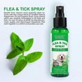 thumbnail image 4 of ZHAOCHENG 1-3 piezas de repelente en aerosol para mascotas repelente de insectos 100 ml 3 piezas, 4 of 5
