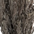 thumbnail image 3 of Vickerman 18-20" Silver White Pubescens, 5 oz Bundle, Preserved, 3 of 4