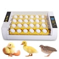 thumbnail image 1 of Incubadora de 24 huevos con giro automático de huevos, control de humedad y, 1 of 8