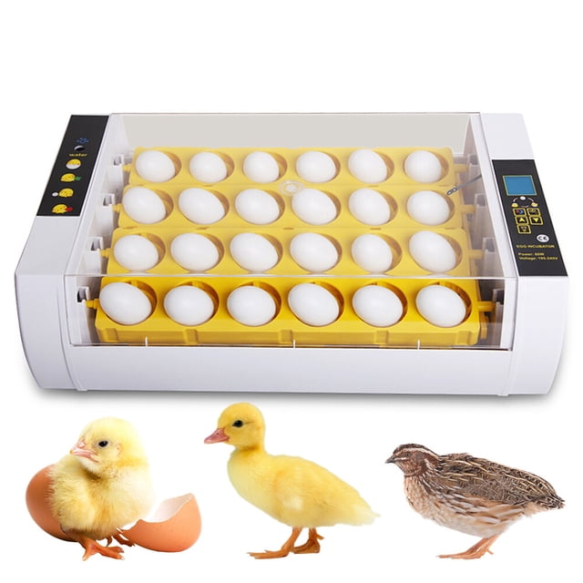 Incubadora de 24 huevos con giro automático de huevos, control de humedad y