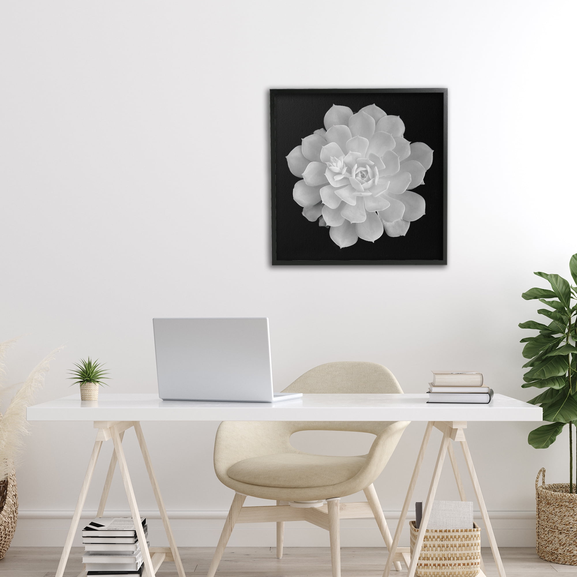 Pure White Succulent Contrast Black Framed Giclee Art, design by Phillip Flowers