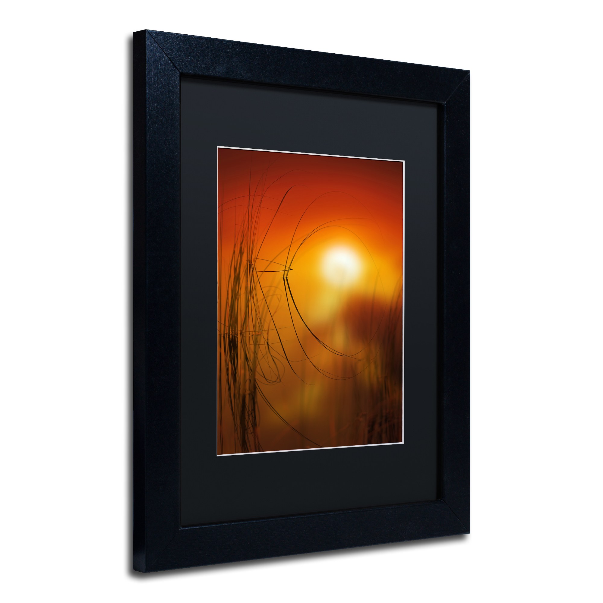 Trademark Fine Art ''Nature Time Machine'' by Philippe Sainte-Laudy 16" x 20" Black Matted Black Frame (886511797888)