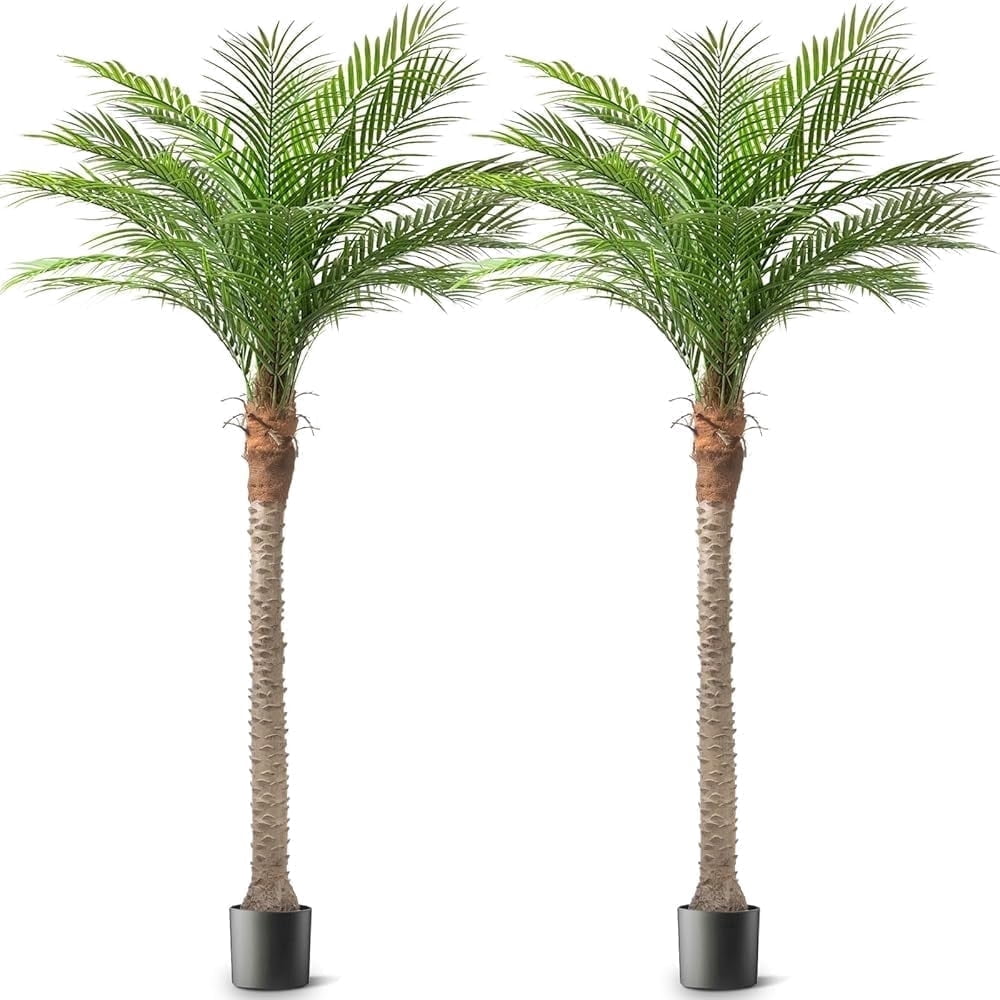 Oli & Vivi OLIVIVI Artificial Cedar Tree 6FT Tall Faux Silk Plant for Home Office Decor Indoor Outdoor Fake Lifelike Potted Tree with Wood Branches 1 pack Review