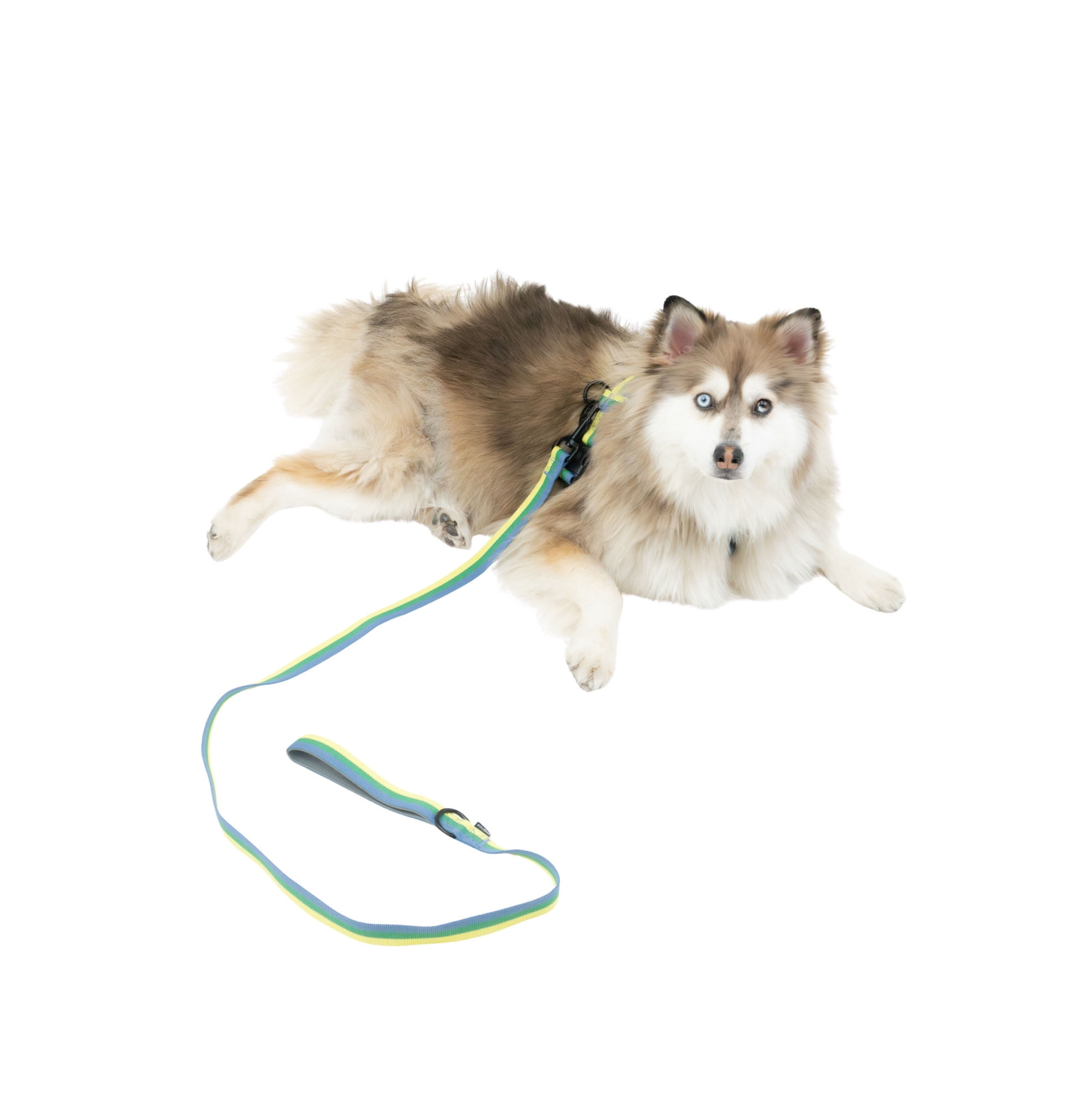 One Paw, lot de 3 harnais et laisses pour chien avec porte-sac à crottes, plusieurs tailles, bleu, chiens