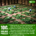 thumbnail image 6 of FreshDrinkUS, Premium 60 Mango Leaf Tea Bags, 100% Natural& Pure from Mango Leaves. Loose Leaf Mango Herbal Tea. Mango Leaf Tea. No Sugar, No Caffeine, No Gluten, Vegan., 6 of 9
