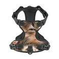 thumbnail image 4 of Gaeub Playful Cat Gaeub Playful Cat No Pull Dog Harness, Secure and Adjustable Pet Vest for Outdoor Activities - Large, 4 of 8