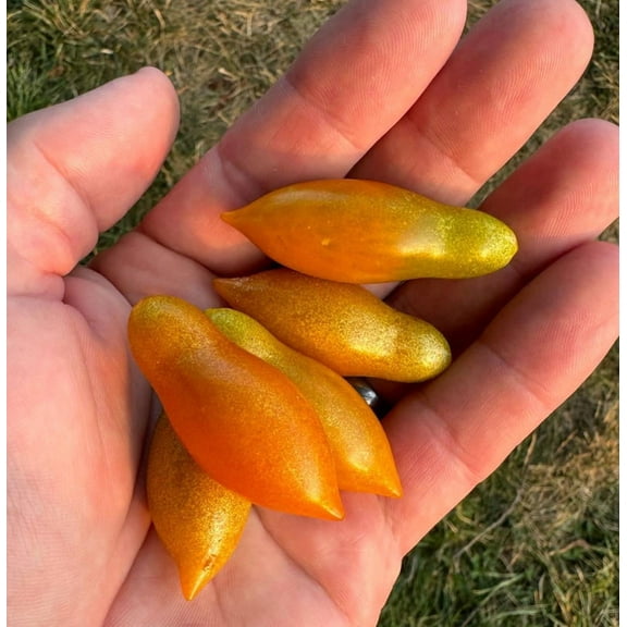 Golden Baby San Marzano Heirloom Tomato Premium Seed Packet