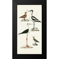 thumbnail image 2 of Unknown 11x18 Black Modern Framed Museum Art Print Titled - Waterbird Varieties III, 2 of 5