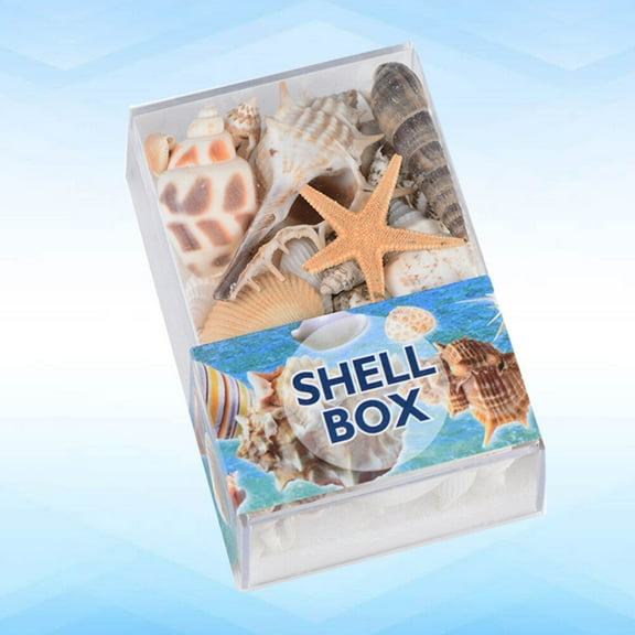 Alasum Seashell Ornaments Natural Sea Conch Crafts Shells For Living Room Decor 8*3.1in