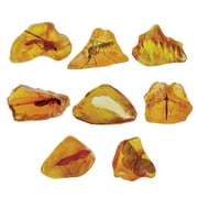 NSI Smithsonian Amber Dig STEM Science Item - 8 Years and up
