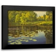 thumbnail image 1 of Adamov, Alexey 18x15 Black Modern Framed Museum Art Print Titled - Water Lilies on the River II, 1 of 5