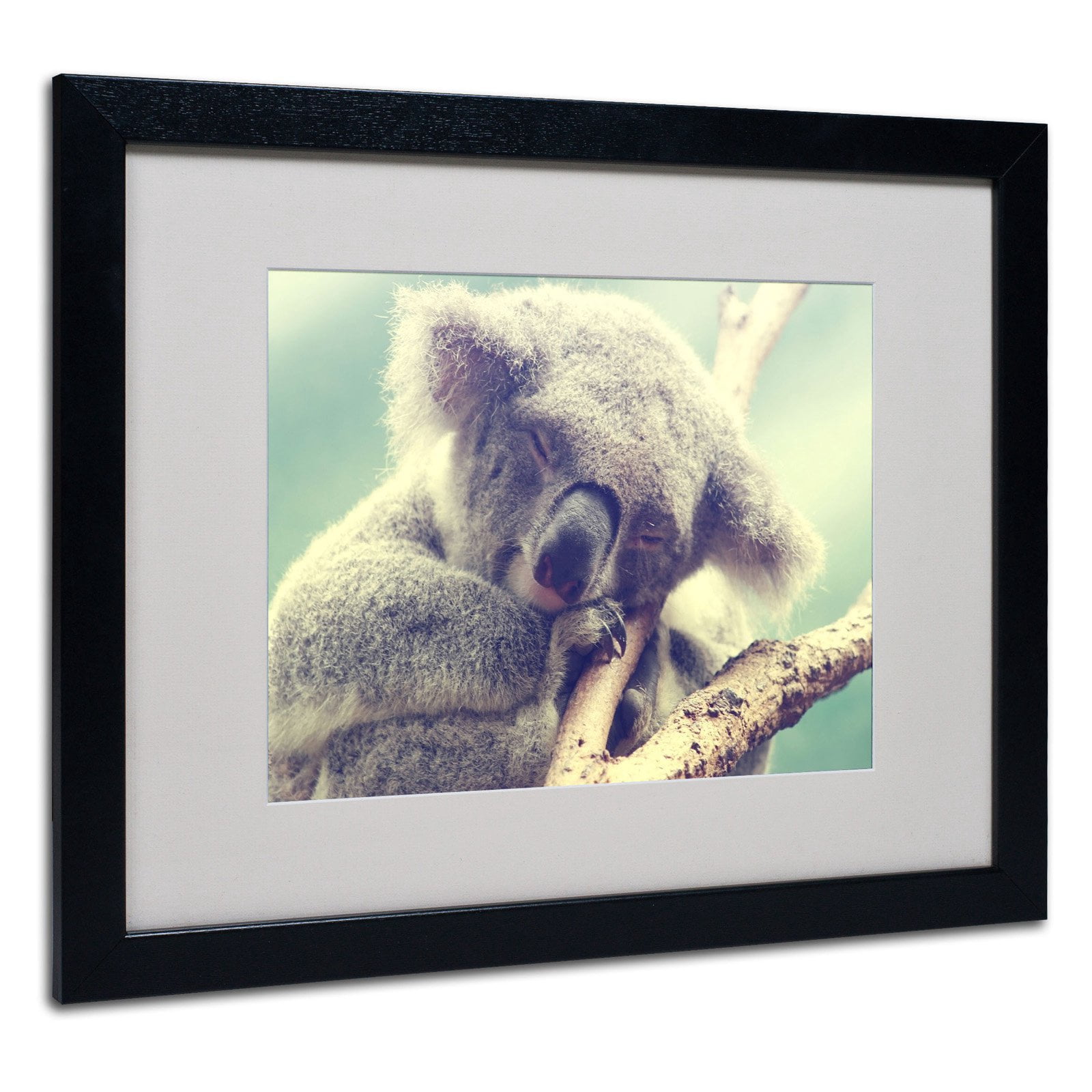Trademark Fine Art "Sleepy Head" Framed Canvas Art by Beata Czyzowska Young