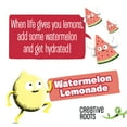 thumbnail image 6 of Creative Roots Watermelon Lemonade Coconut Water Kids Drink, 4 ct Pack, 8.5 fl oz Bottles, 6 of 16