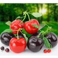 thumbnail image 2 of Cherries Fruit Props Double Cherry Ornaments Photography Artificial Realistic And Beautiful Foam Simulation Food Model, 2 of 11