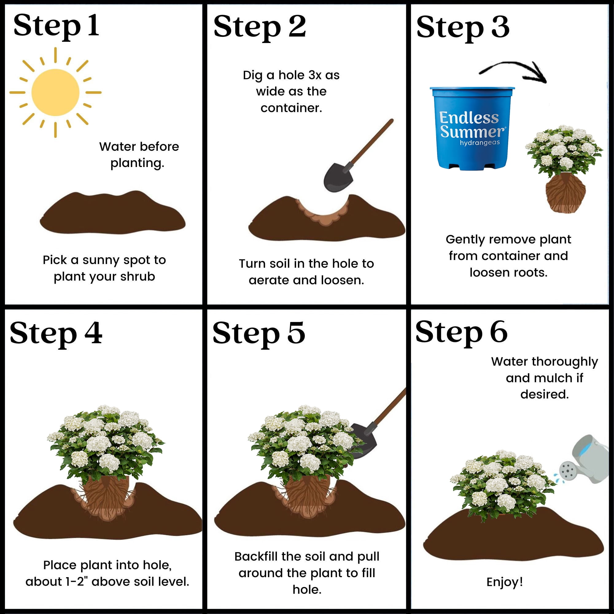 Endless Summer Dream Cloud Reblooming Hydrangea Live Shrub in 1-Gallon Grower Pot