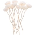 thumbnail image 3 of Miangastore 10pcs Dried Flower Diffuser Sticks Essential Oil Diffuser Aroma Diffuser Sticks, 3 of 8
